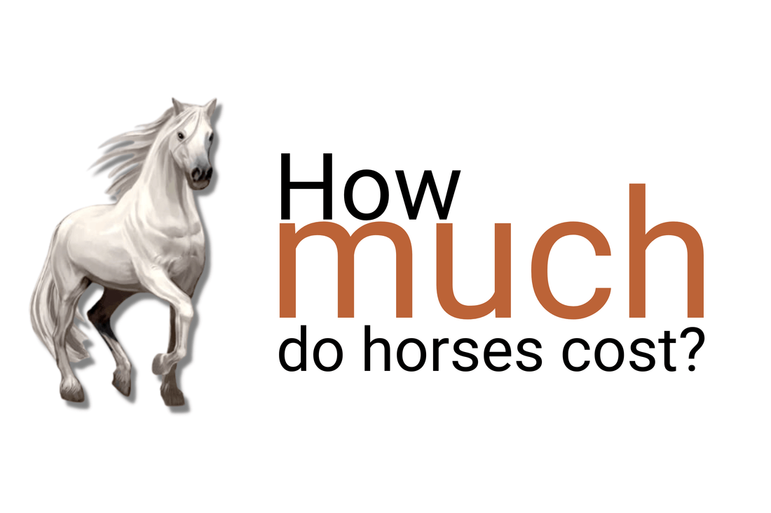 How much does a horse cost?