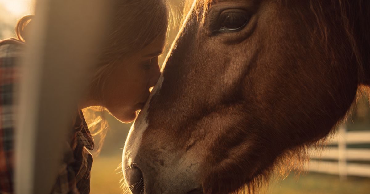How to Bond With a Horse