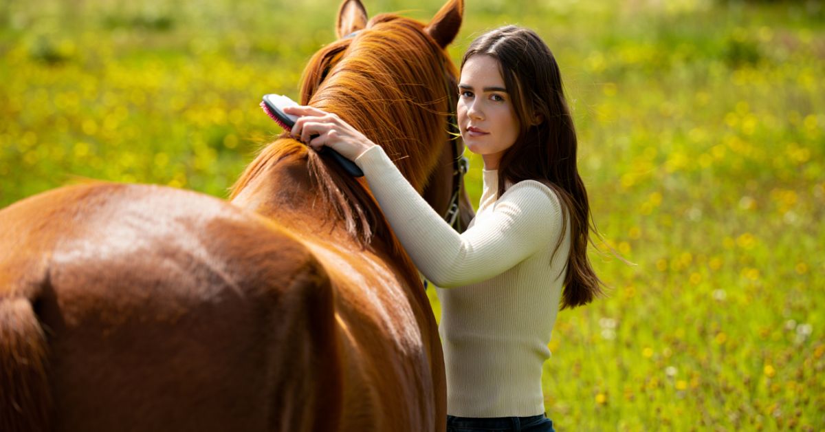 How to Bond with Your Horse