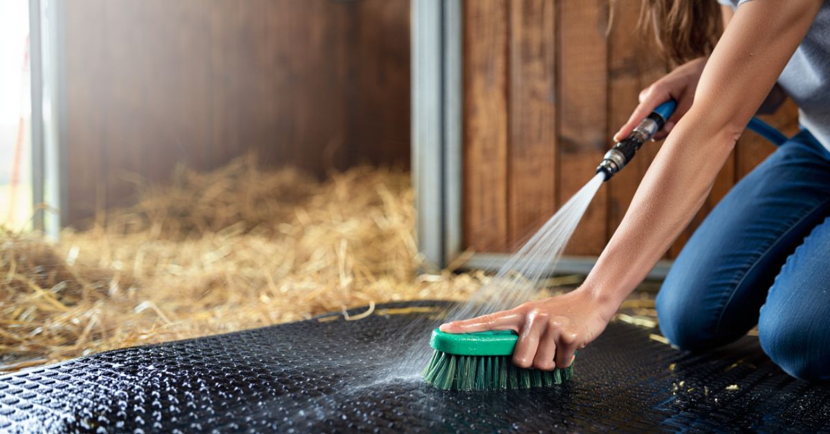 How to Clean Horse Stall Mats