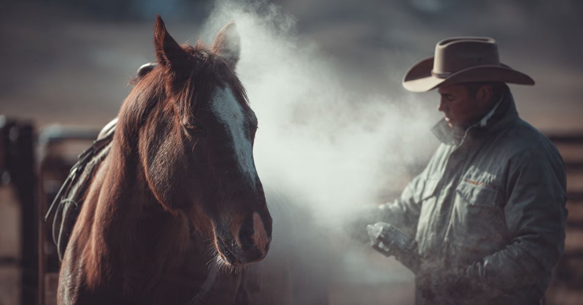 How to Freeze Brand a Horse