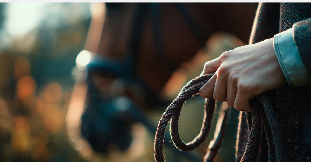 How to Hold Horse Reins Like a Pro