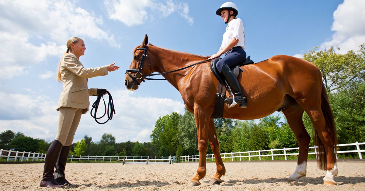 How to Ride a Horse for Beginners