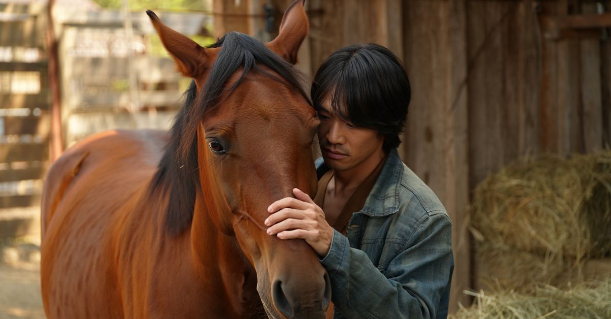 How to Stop a Horse from Biting