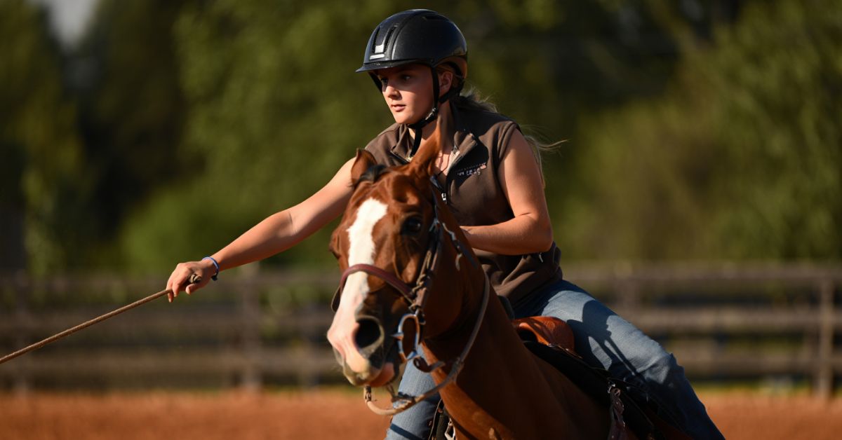 How to Teach a Horse to Neck Rein
