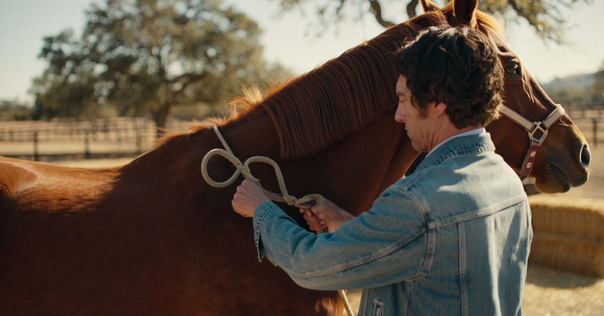 How to Tie Horse