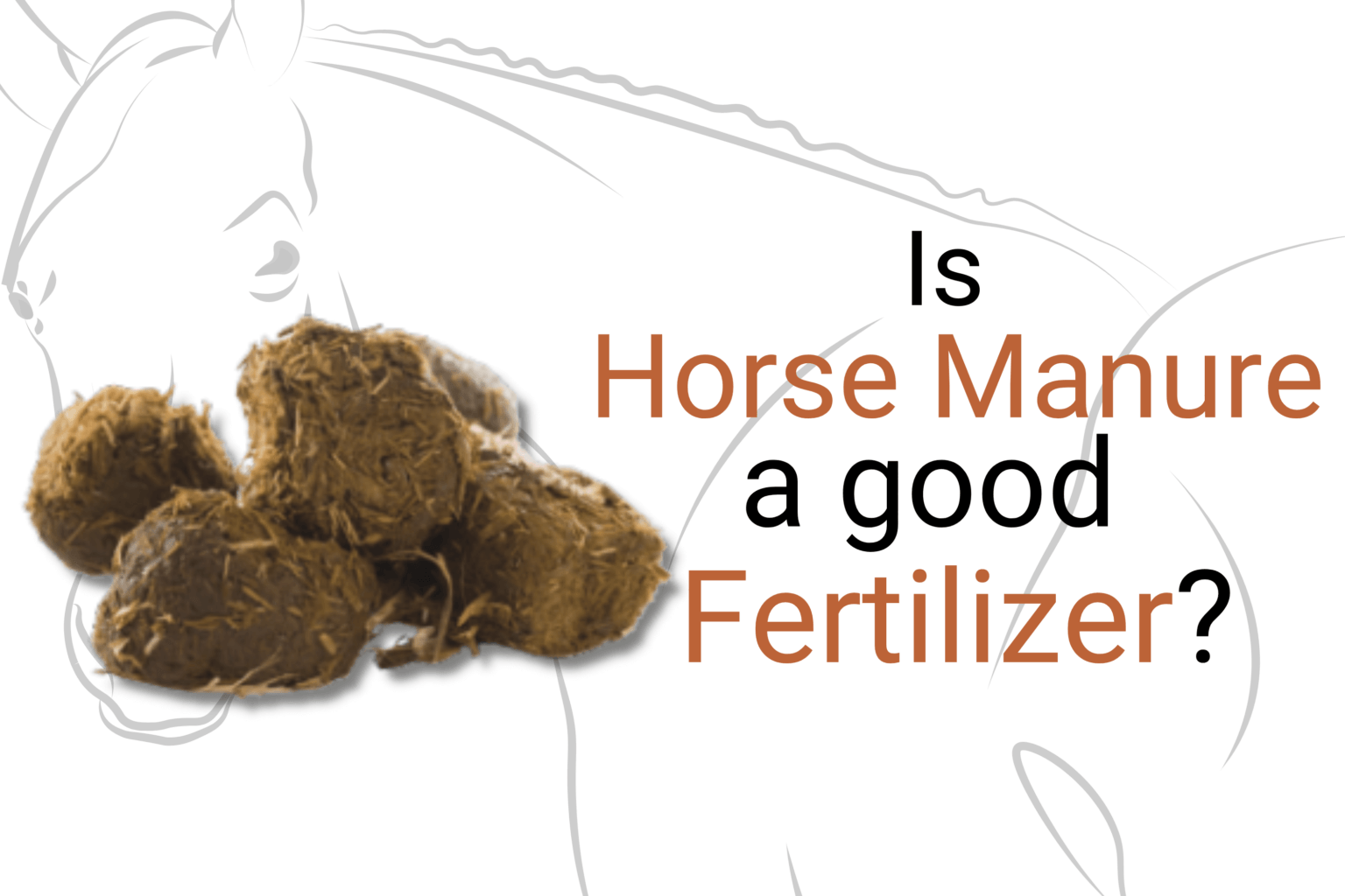 Is Horse Manure a Good Fertilizer?