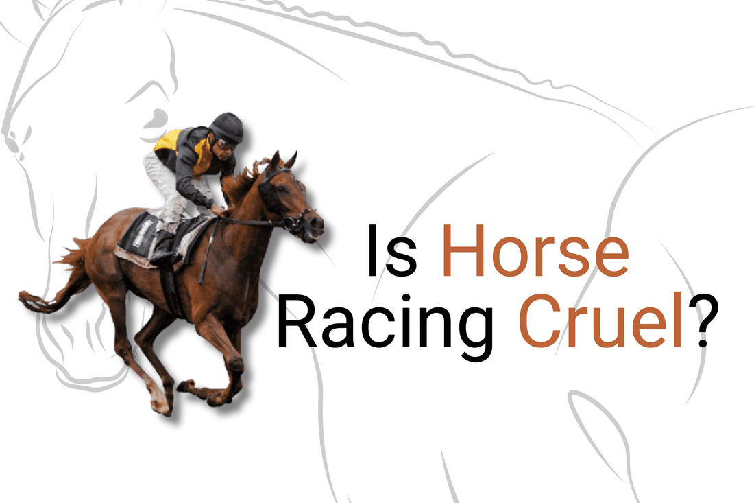 Is Horse Racing Cruel? Unmasking the Controversy