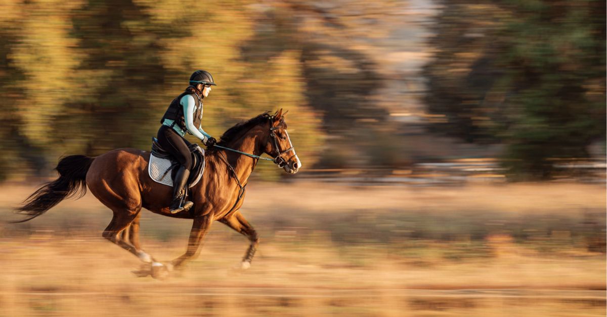Is Horse Riding Dangerous
