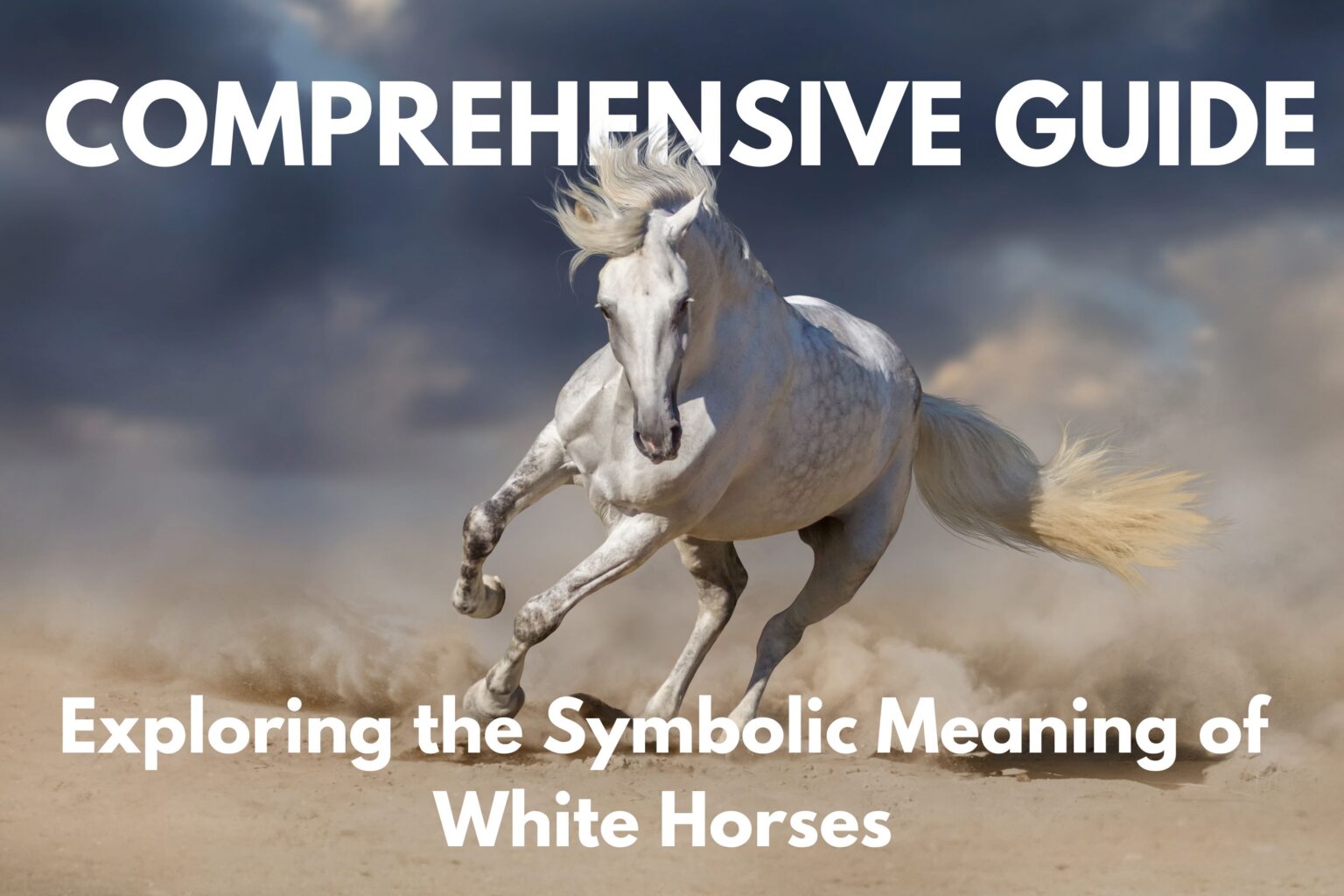 What does a white horse symbolize?
