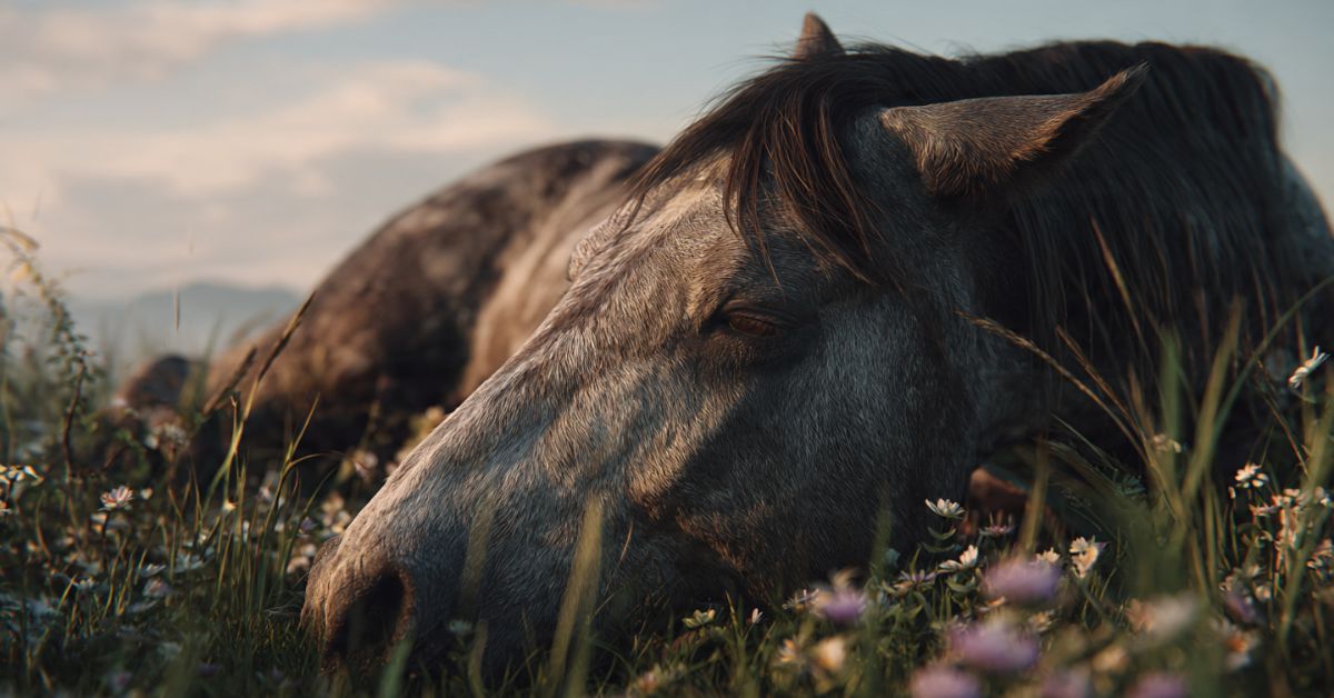 What Do You Do With a Dead Horse