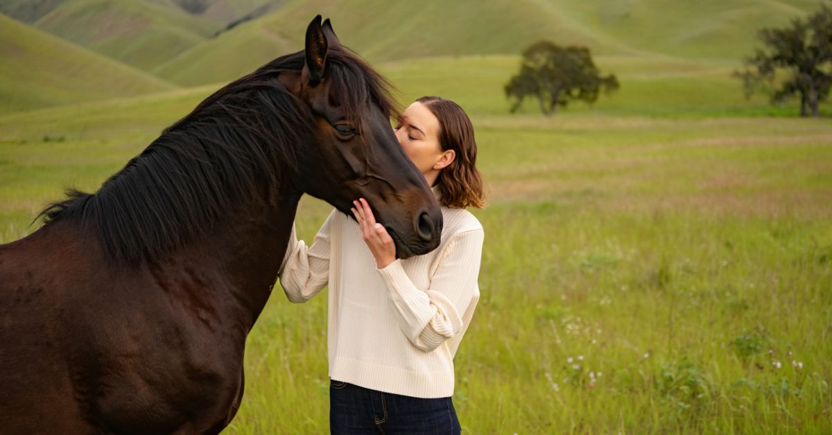 What Is a Heart Horse