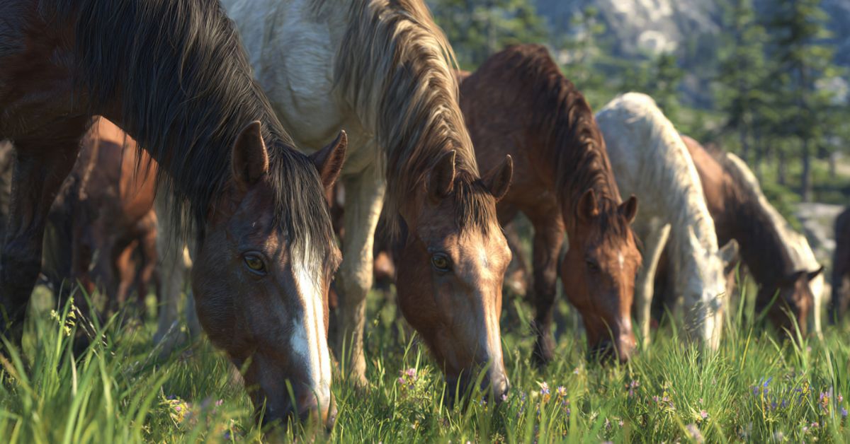 What Is a Horse Group Called