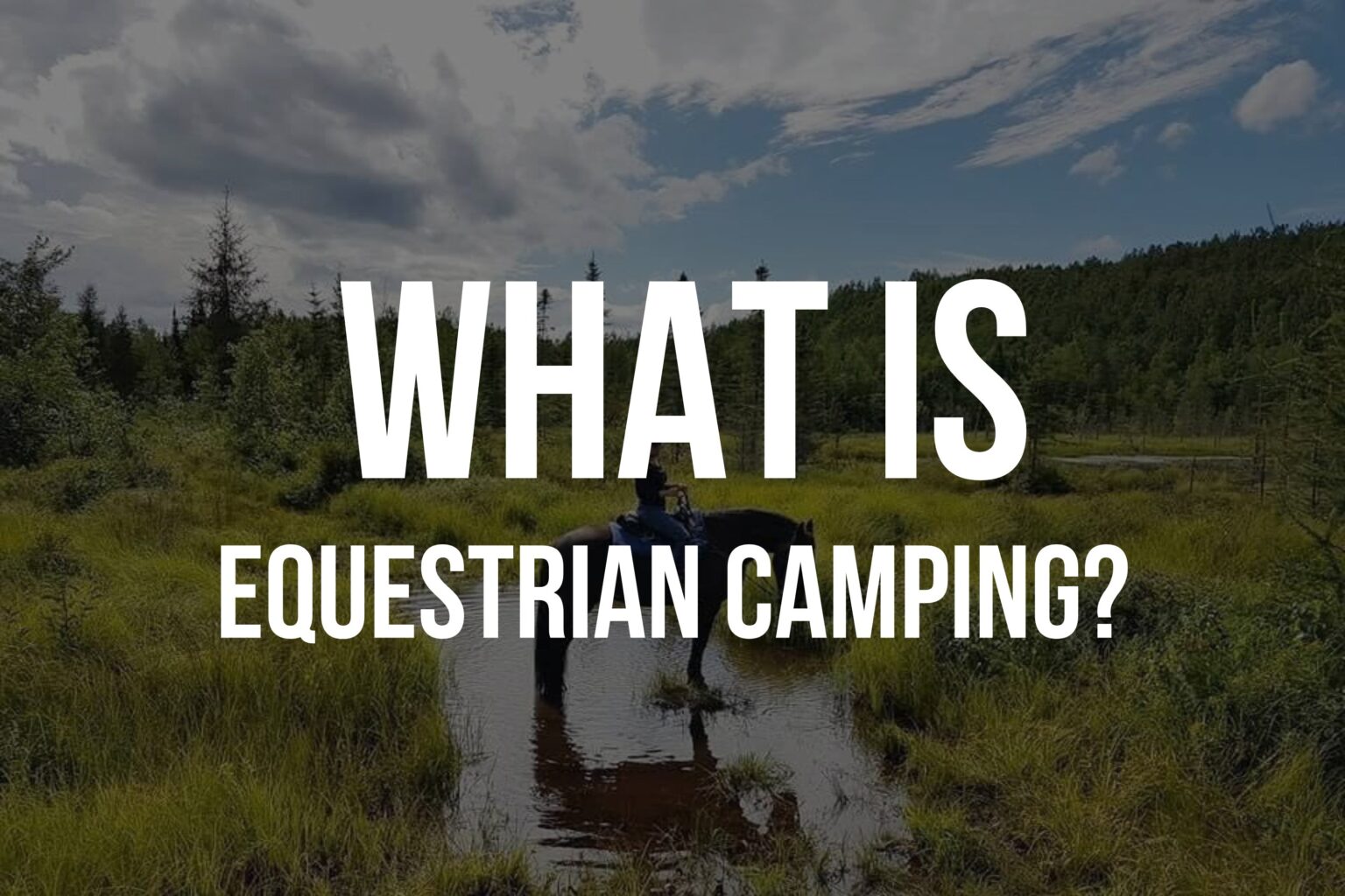 What is Equestrian Camping