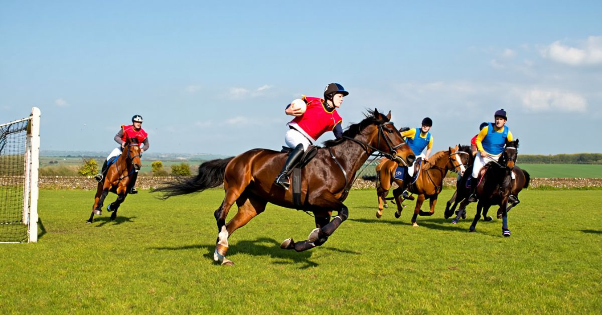 What is Horse Ball
