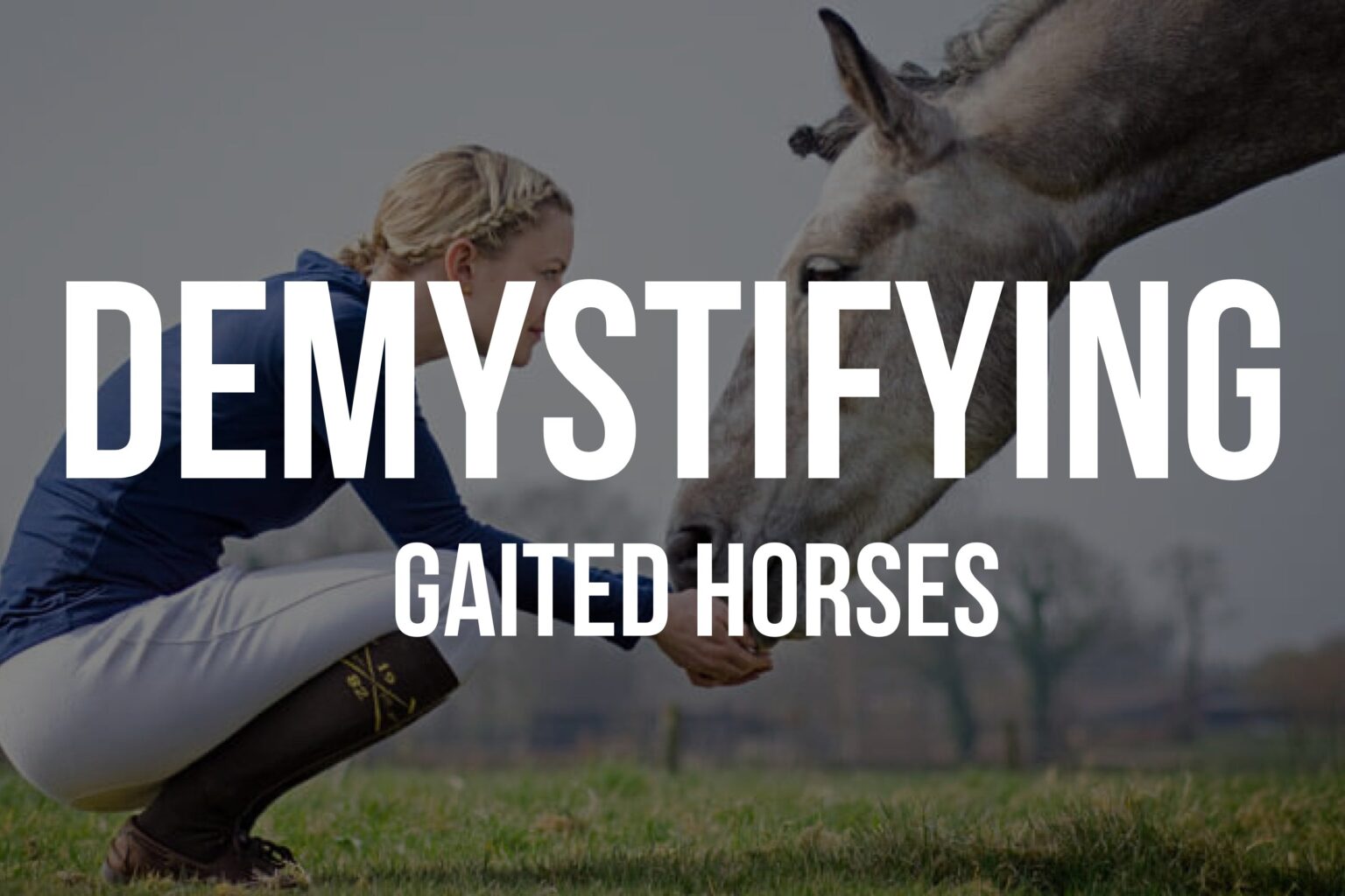 What is a Gaited Horse?