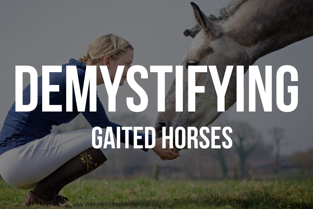What is a Gaited Horse