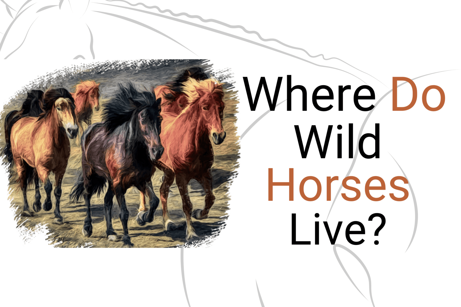 Unraveling Equine Mysteries: Where Do Wild Horses Live?