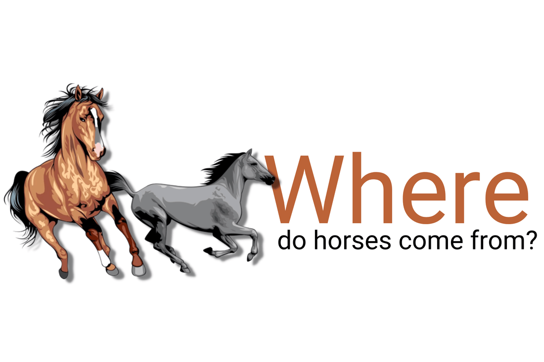 Where did horses originate from?