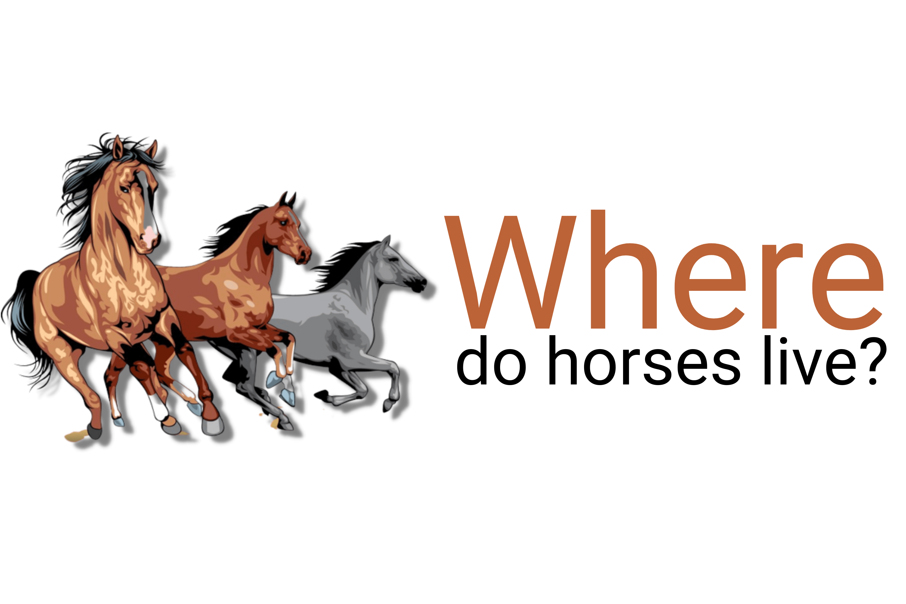 Where do horses live?