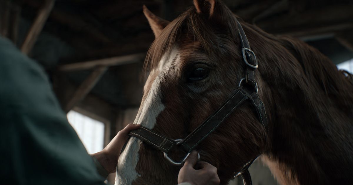 Where to Give a Horse a Shot