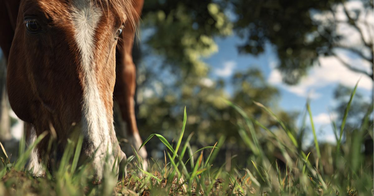 Why Is My Horse Eating Poop