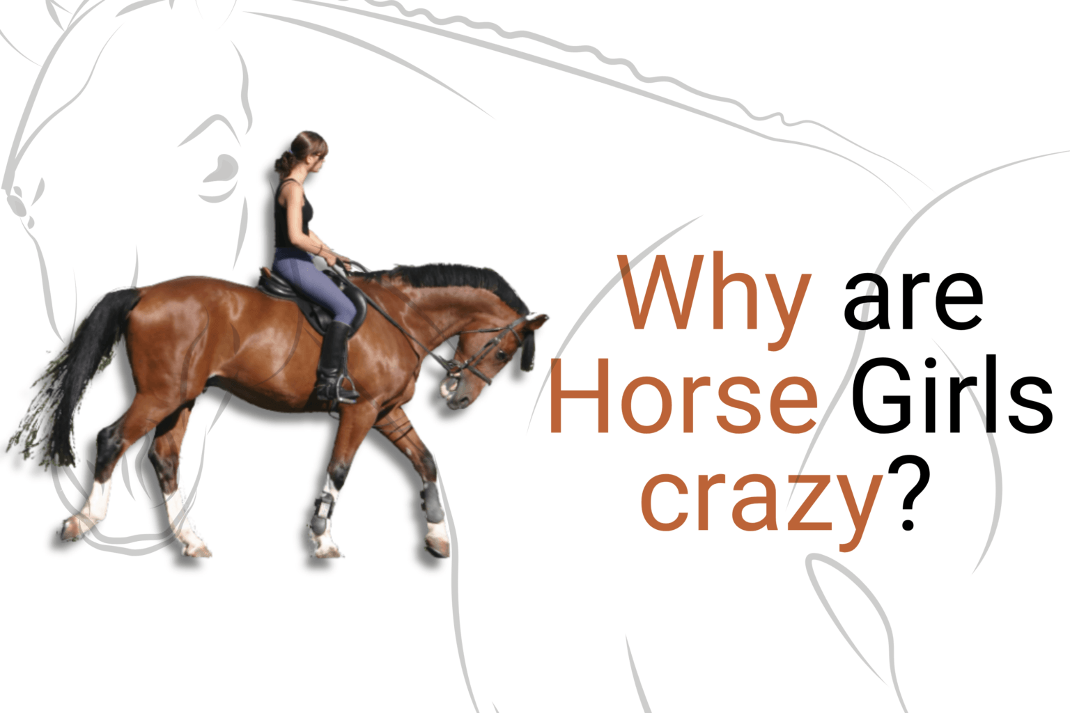 Breaking Stereotypes: Why are horse girls crazy?