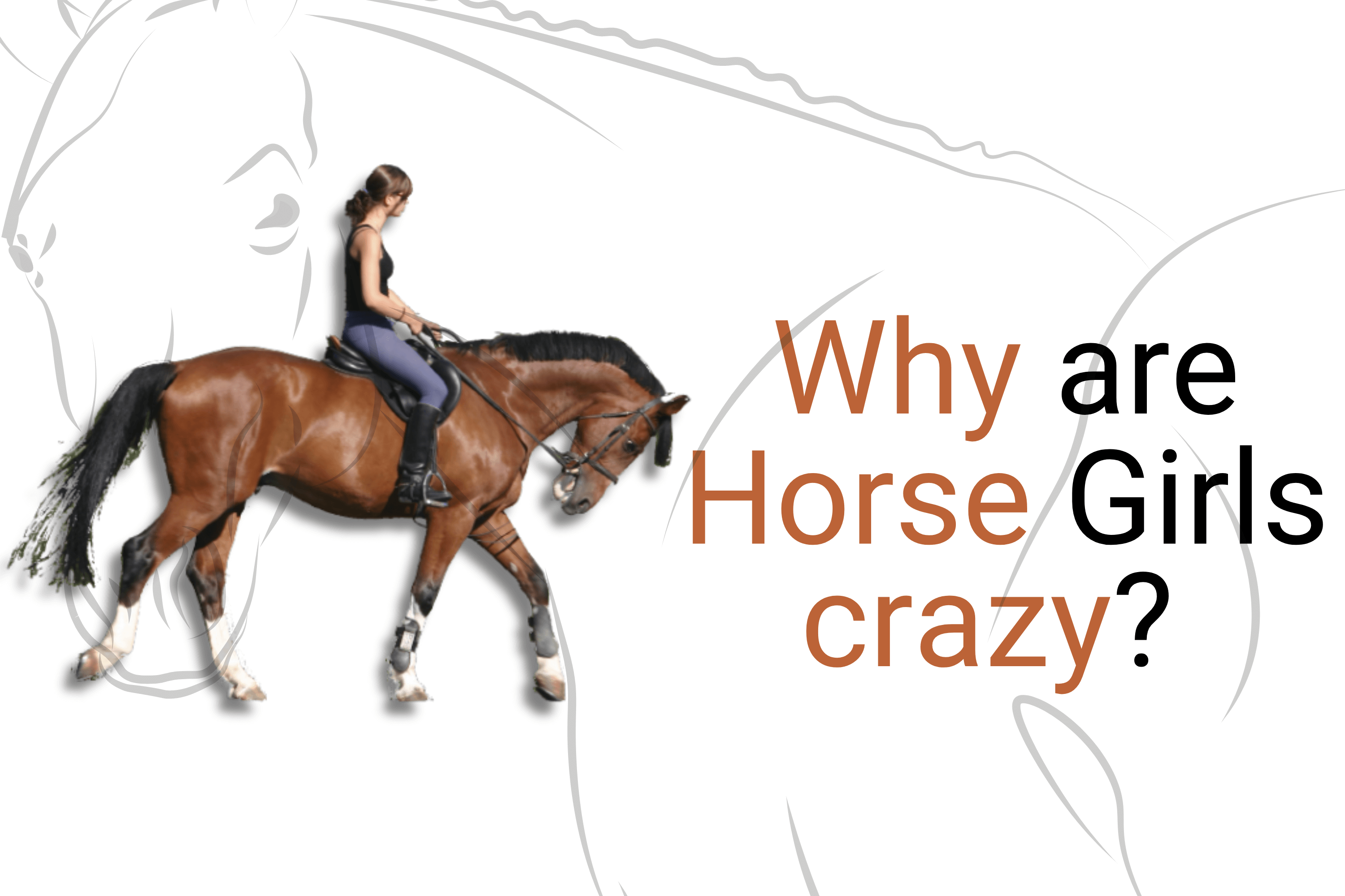 Why are horse girls crazy