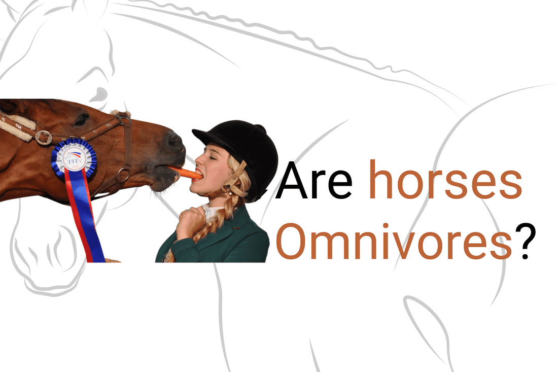 Are Horses Omnivores