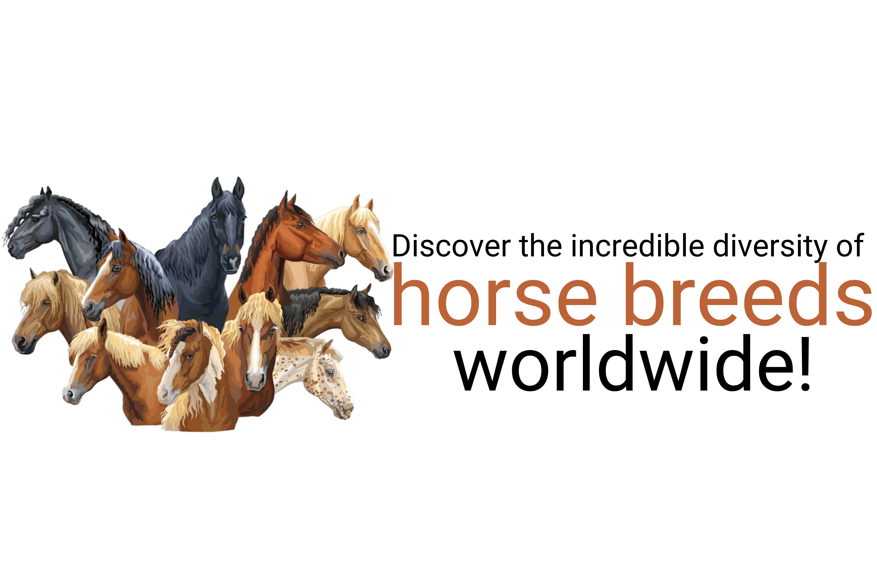 how many horse breeds are there in the world