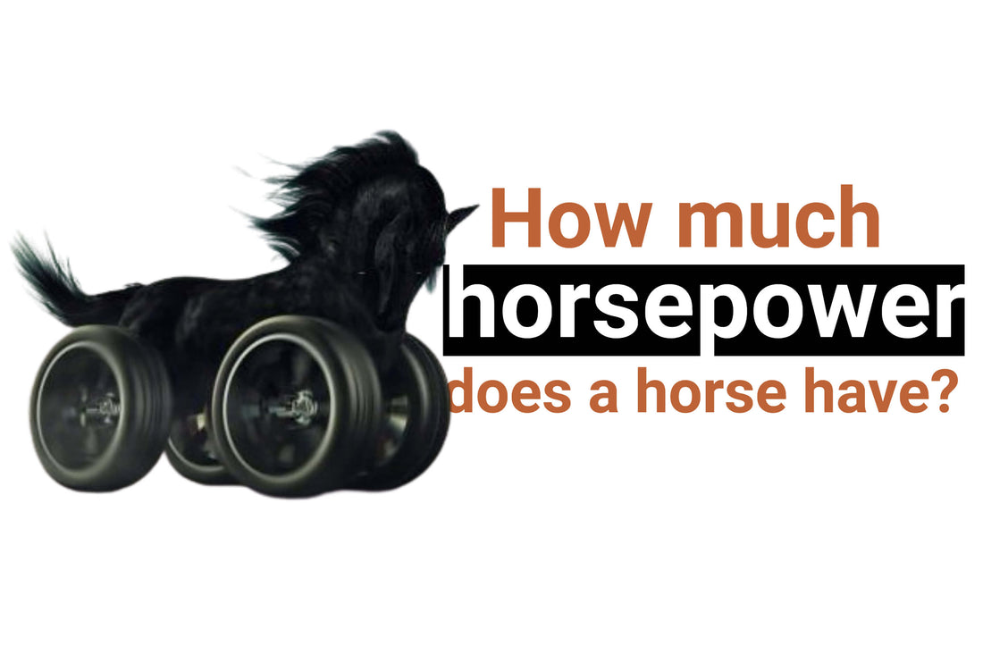 How much horsepower does one horse have ?
