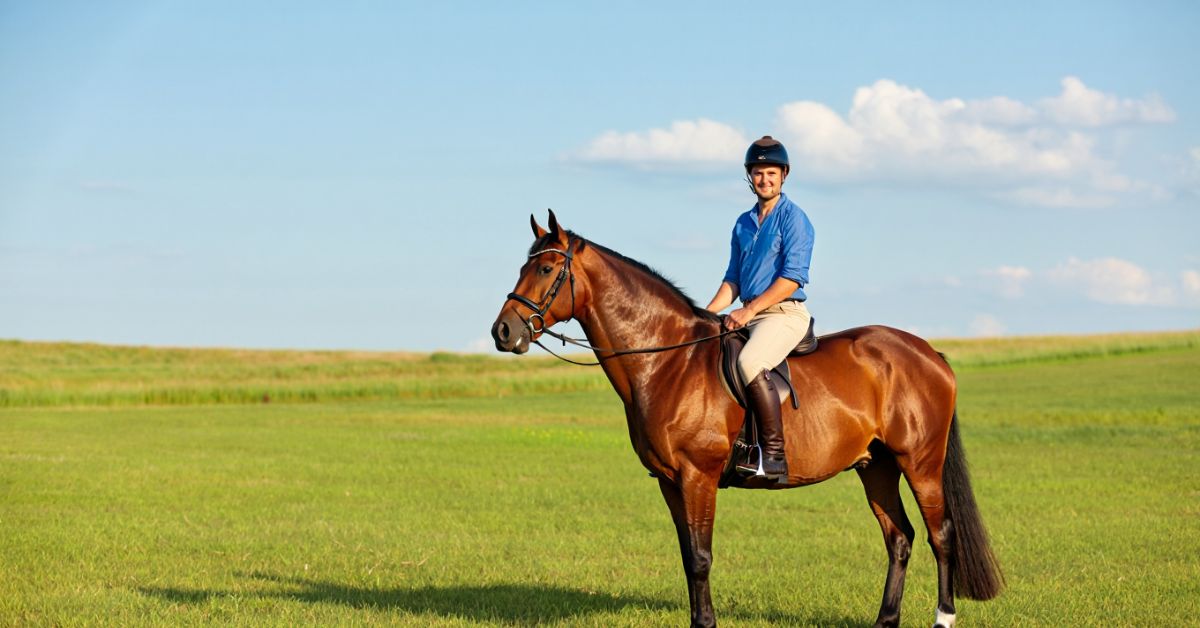 What's the Weight Limit to Ride a Horse