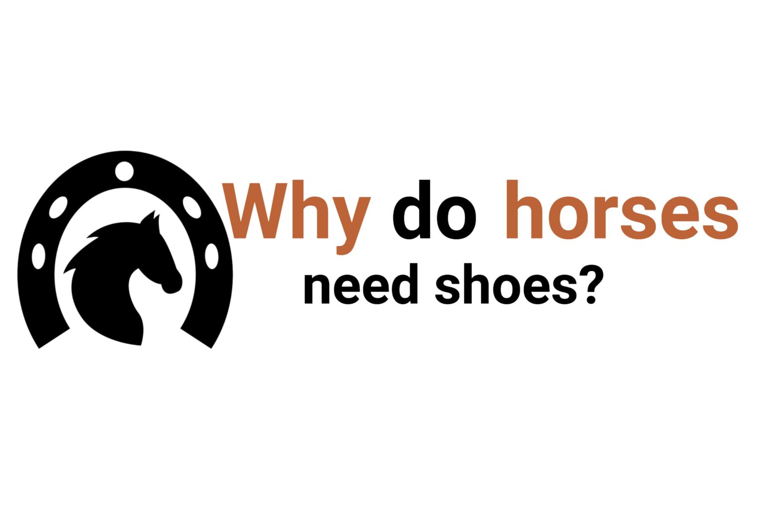 Why do horses need shoes