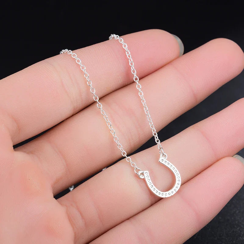 Horseshoe necklace men
