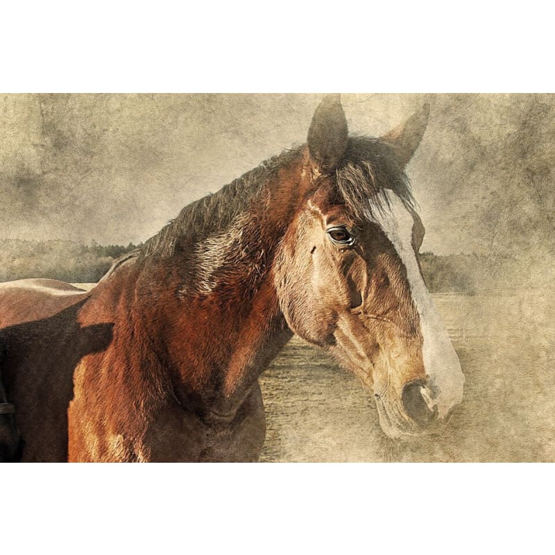 Carousel horse puzzle - Dream Horse
