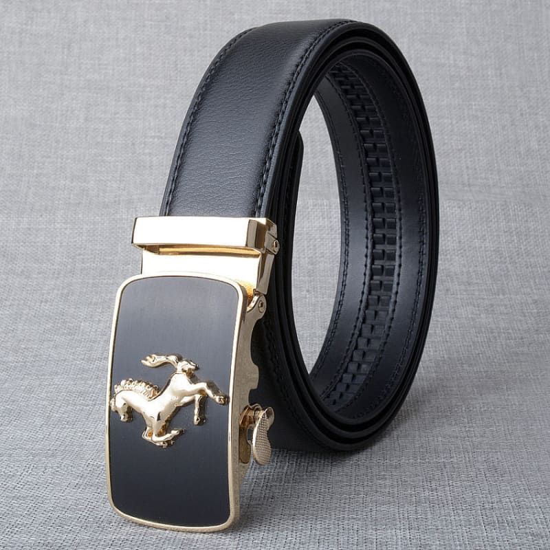 Hanks horse belt - Dream Horse