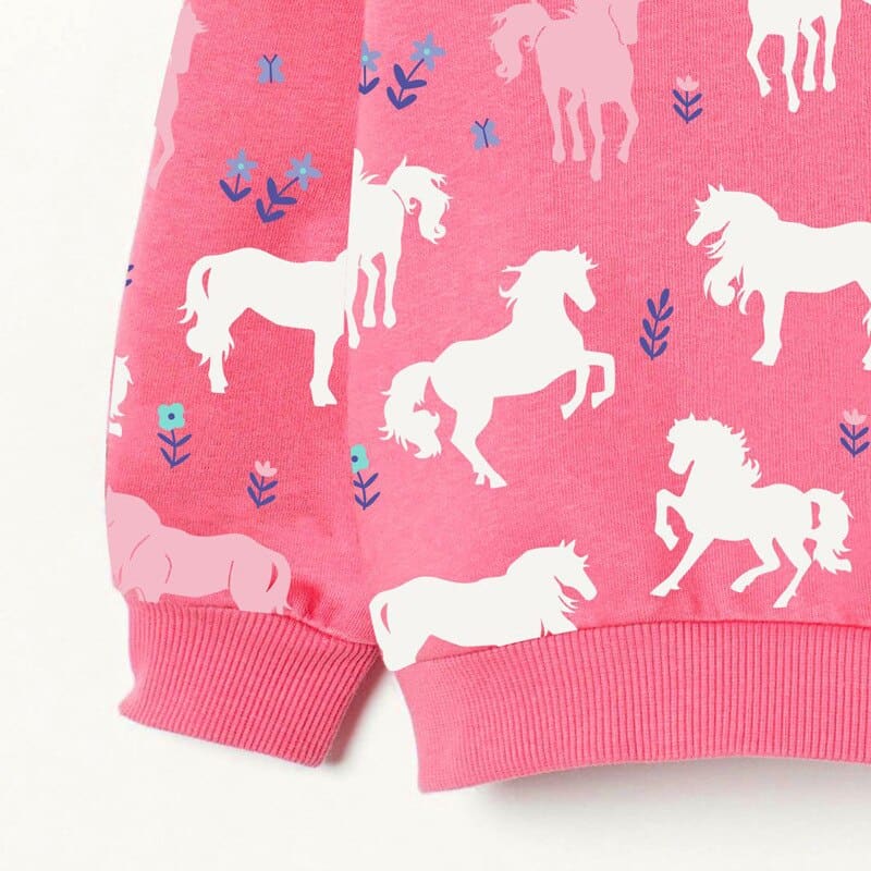 Hobby horse sweatshirt - Dream Horse