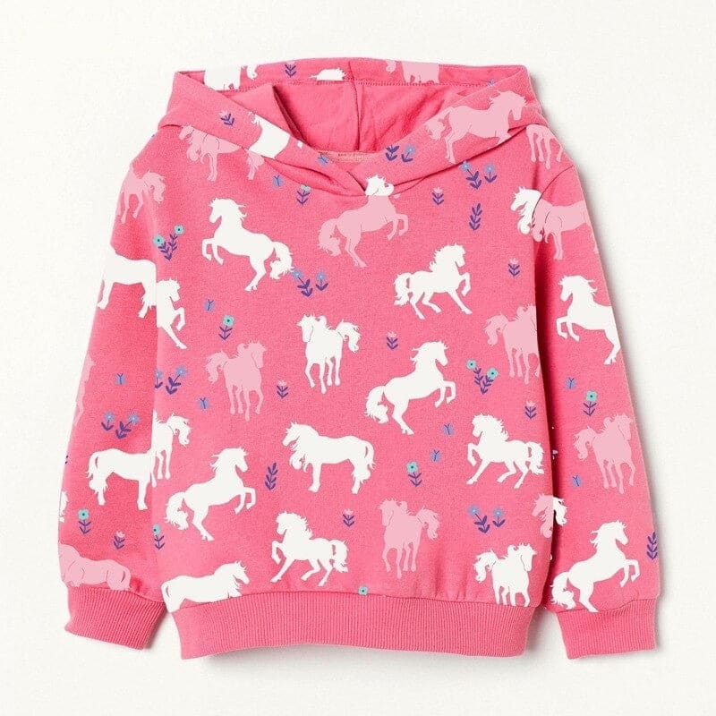 Hobby horse sweatshirt - Dream Horse