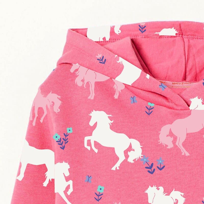 Hobby horse sweatshirt - Dream Horse