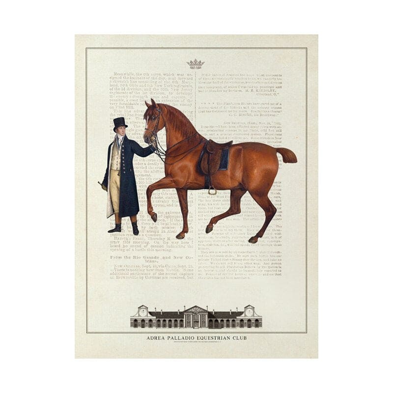 Horse framed wall art - Dream Horse