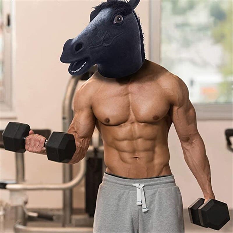 Pantomime horse costume - Dream Horse