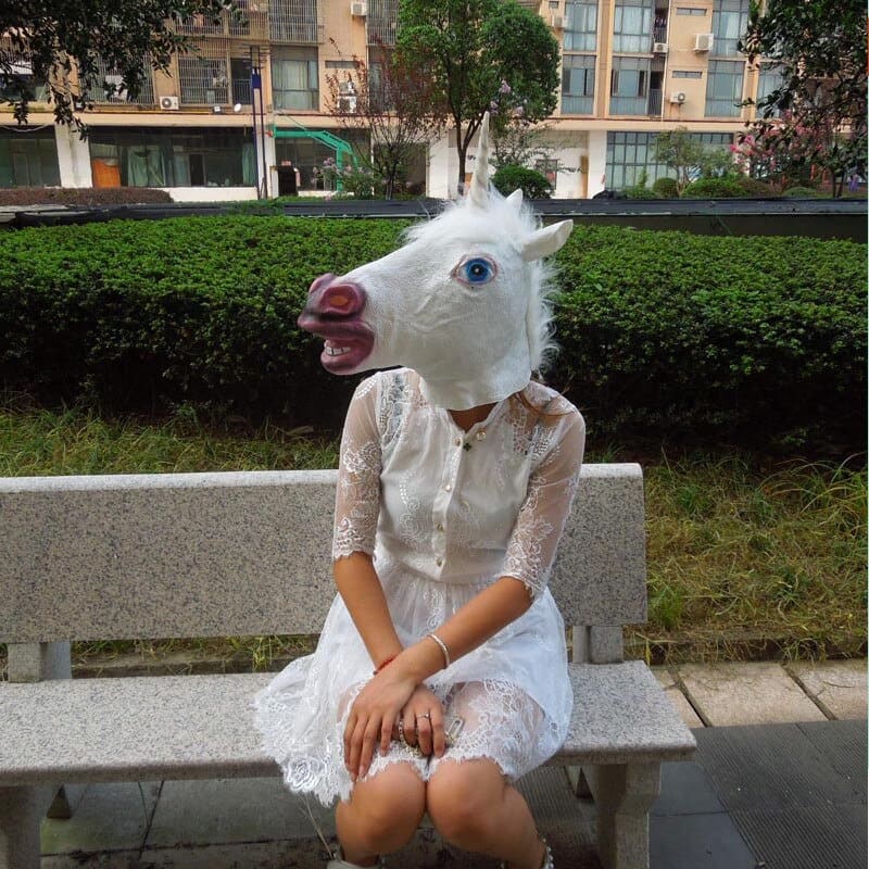 Funny horse costumes - Dream Horse