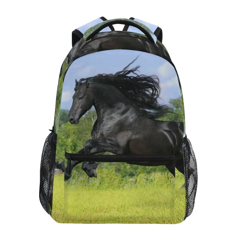 Horse back packs - Dream Horse