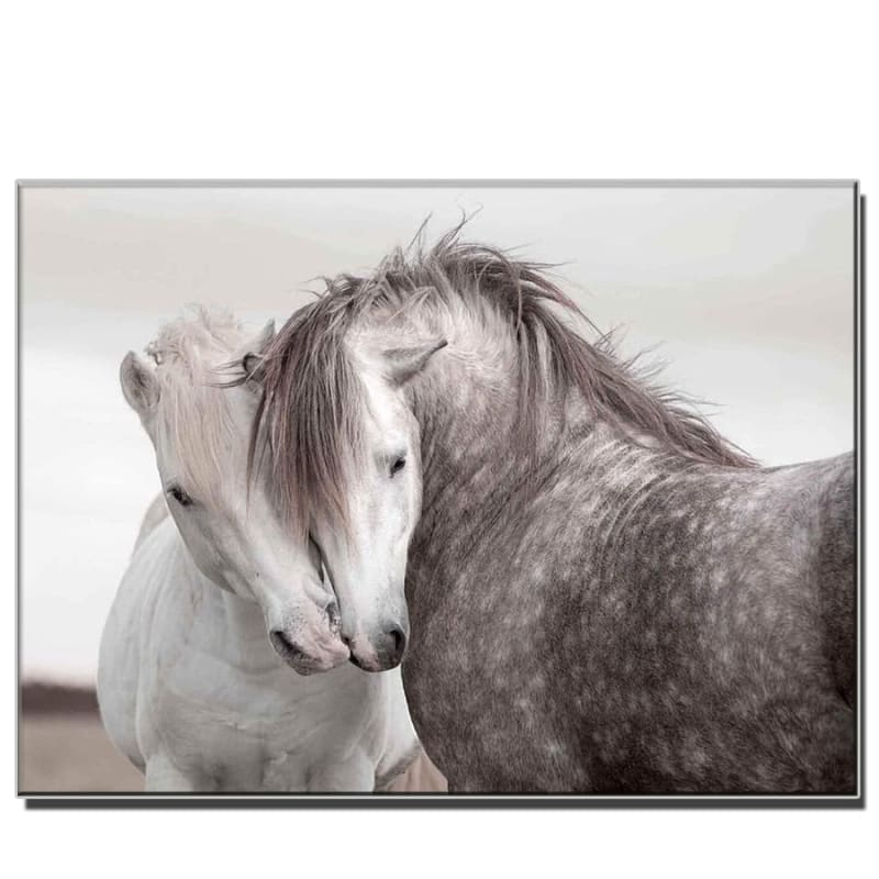 Horse jigsaw puzzles (gifts) - Dream Horse