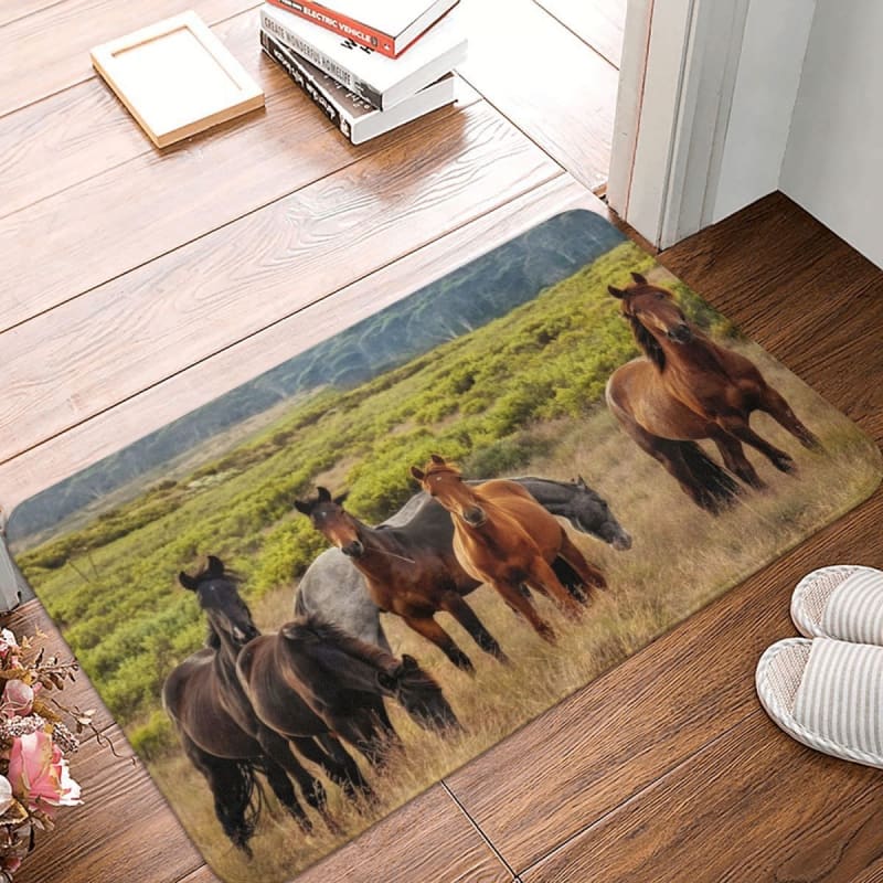 Horse rugs Australia - Dream Horse