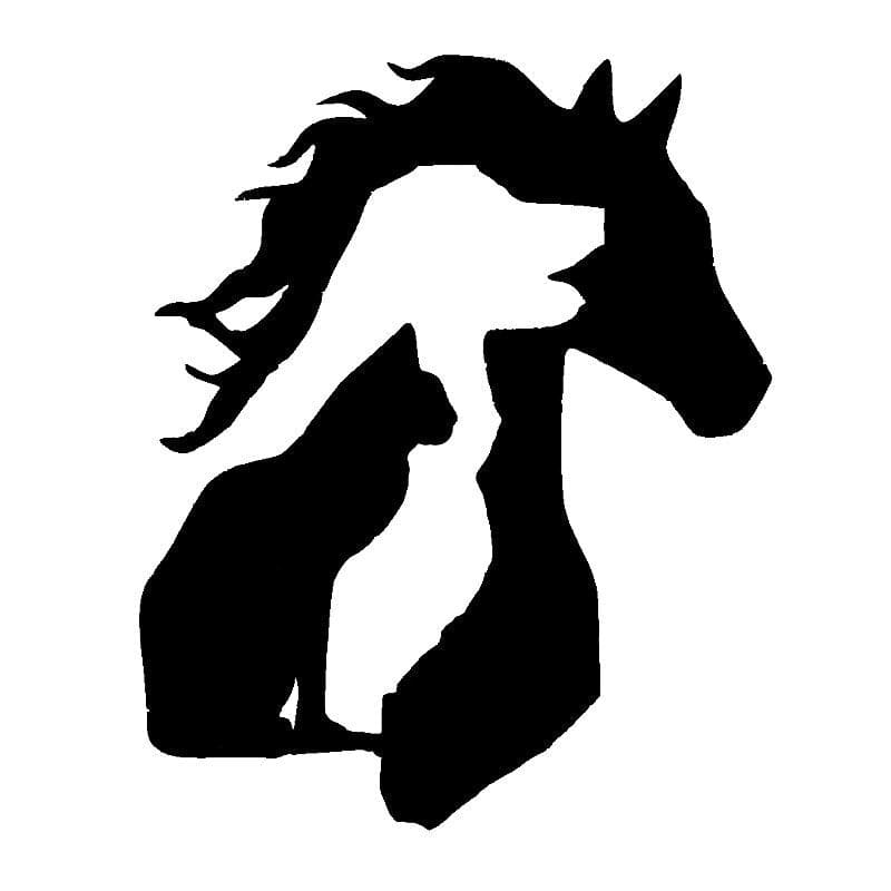 Horse vinyl stickers (horse lovers) - Dream Horse