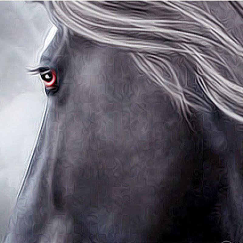 Horse wall art prints - Dream Horse