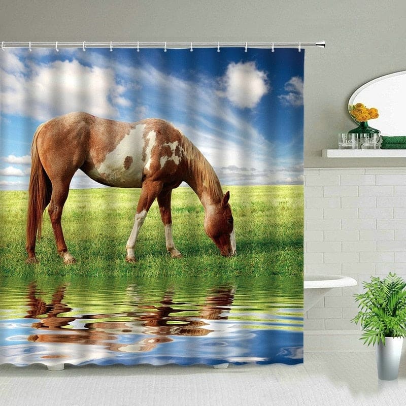 Race horse shower curtain - Dream Horse