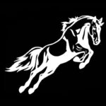 Custom horse stickers - Dream Horse
